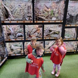 JAVNI AKVARIJUM I TROPIKARIJUM HK6 (23)