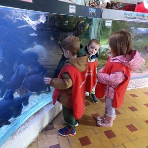 JAVNI AKVARIJUM I TROPIKARIJUM HK6 (25)