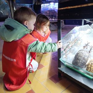 JAVNI AKVARIJUM I TROPIKARIJUM HK6 (26)