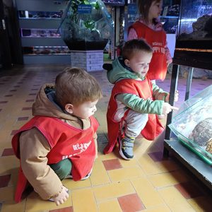 JAVNI AKVARIJUM I TROPIKARIJUM HK6 (27)