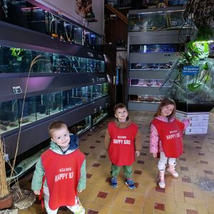 JAVNI AKVARIJUM I TROPIKARIJUM HK6 (28)