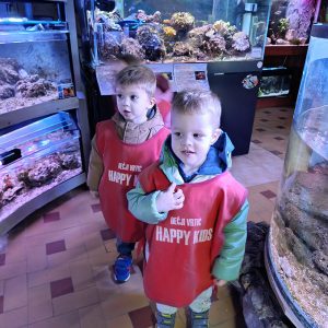 JAVNI AKVARIJUM I TROPIKARIJUM HK6 (30)