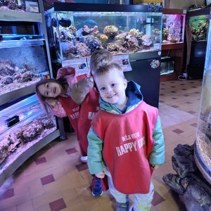 JAVNI AKVARIJUM I TROPIKARIJUM HK6 (31)