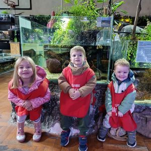 JAVNI AKVARIJUM I TROPIKARIJUM HK6 (33)