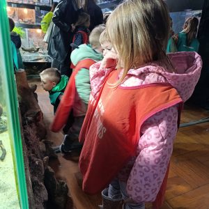 JAVNI AKVARIJUM I TROPIKARIJUM HK6 (37)