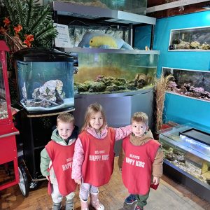 JAVNI AKVARIJUM I TROPIKARIJUM HK6 (38)