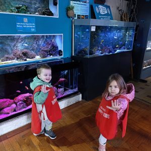 JAVNI AKVARIJUM I TROPIKARIJUM HK6 (39)