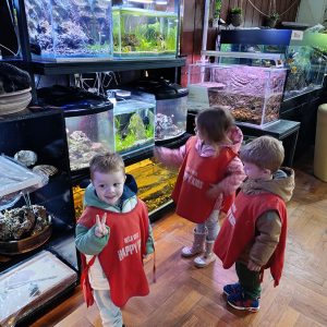 JAVNI AKVARIJUM I TROPIKARIJUM HK6 (40)