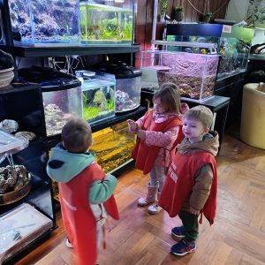 JAVNI AKVARIJUM I TROPIKARIJUM HK6 (41)