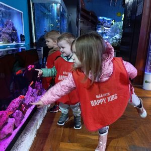 JAVNI AKVARIJUM I TROPIKARIJUM HK6 (42)