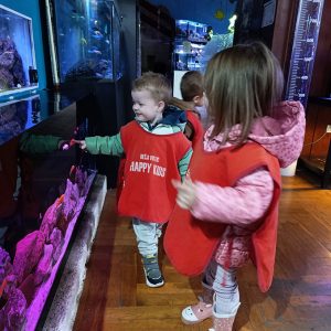 JAVNI AKVARIJUM I TROPIKARIJUM HK6 (43)