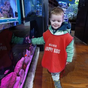 JAVNI AKVARIJUM I TROPIKARIJUM HK6 (44)