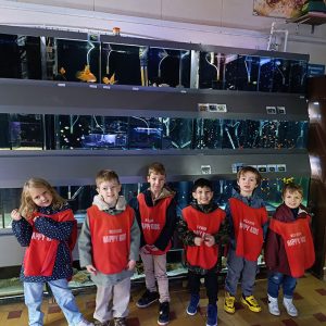 JAVNI AKVARIJUM I TROPIKARIJUM HK6 (45)