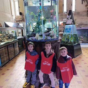 JAVNI AKVARIJUM I TROPIKARIJUM HK6 (46)