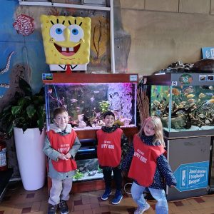 JAVNI AKVARIJUM I TROPIKARIJUM HK6 (47)