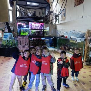 JAVNI AKVARIJUM I TROPIKARIJUM HK6 (50)