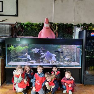 JAVNI AKVARIJUM I TROPIKARIJUM HK6 (51)