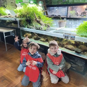 JAVNI AKVARIJUM I TROPIKARIJUM HK6 (53)