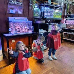 JAVNI AKVARIJUM I TROPIKARIJUM HK6 (54)