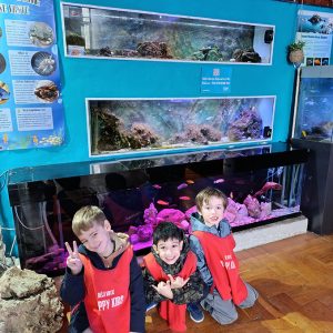 JAVNI AKVARIJUM I TROPIKARIJUM HK6 (55)