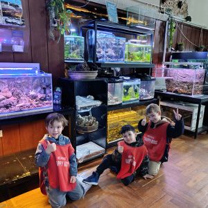 JAVNI AKVARIJUM I TROPIKARIJUM HK6 (57)