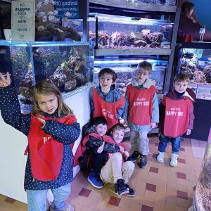 JAVNI AKVARIJUM I TROPIKARIJUM HK6 (70)