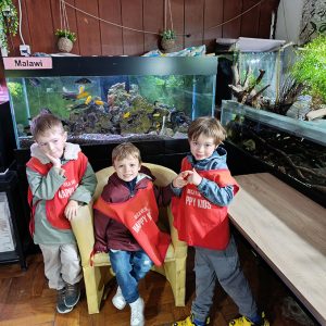 JAVNI AKVARIJUM I TROPIKARIJUM HK6 (73)