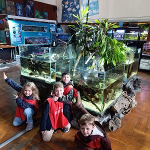 JAVNI AKVARIJUM I TROPIKARIJUM HK6 (74)