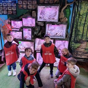 JAVNI AKVARIJUM I TROPIKARIJUM HK6 (75)