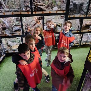 JAVNI AKVARIJUM I TROPIKARIJUM HK6 (78)