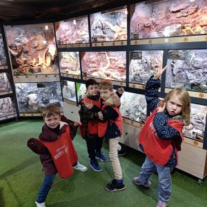 JAVNI AKVARIJUM I TROPIKARIJUM HK6 (82)