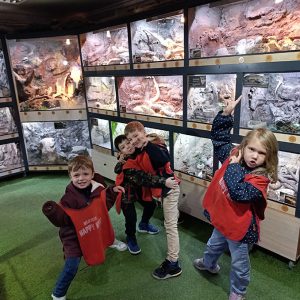 JAVNI AKVARIJUM I TROPIKARIJUM HK6 (83)