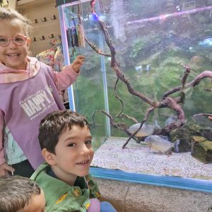 JAVNI AKVARIJUM I TROPIKARIJUM HK7 (10)