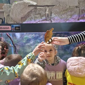 JAVNI AKVARIJUM I TROPIKARIJUM HK7 (11)