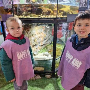 JAVNI AKVARIJUM I TROPIKARIJUM HK7 (23)