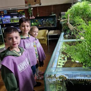 JAVNI AKVARIJUM I TROPIKARIJUM HK7 (27)