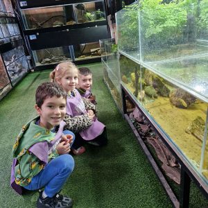 JAVNI AKVARIJUM I TROPIKARIJUM HK7 (30)