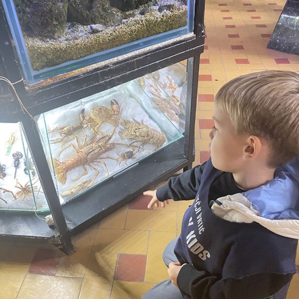 JAVNI AKVARIJUM I TROPIKARIJUM HK9 (1)