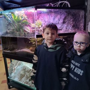 JAVNI AKVARIJUM I TROPIKARIJUM HK9 (14)