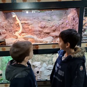 JAVNI AKVARIJUM I TROPIKARIJUM HK9 (16)