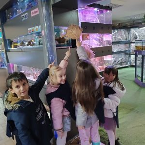 JAVNI AKVARIJUM I TROPIKARIJUM HK9 (19)