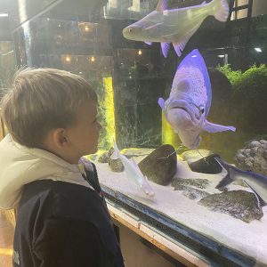 JAVNI AKVARIJUM I TROPIKARIJUM HK9 (2)