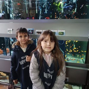 JAVNI AKVARIJUM I TROPIKARIJUM HK9 (20)