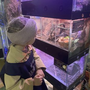 JAVNI AKVARIJUM I TROPIKARIJUM HK9 (5)