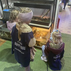 JAVNI AKVARIJUM I TROPIKARIJUM HK9 (6)