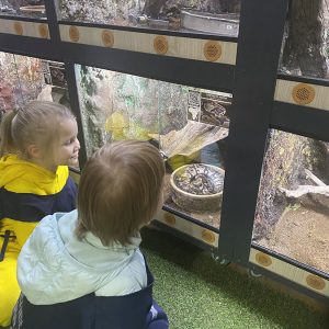 JAVNI AKVARIJUM I TROPIKARIJUM HK9 (7)