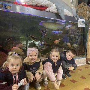 JAVNI AKVARIJUM I TROPIKARIJUM HK9 (8)