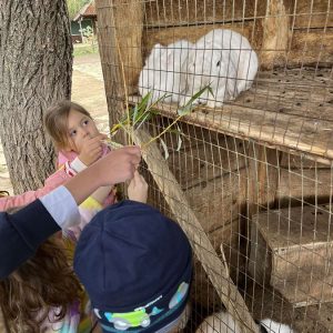 MALI DUNAV HK1 (104)