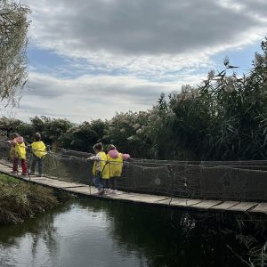 MALI DUNAV HK1 (110)