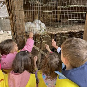 MALI DUNAV HK1 (114)